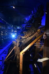 mary-rose_24176225427_o.jpg