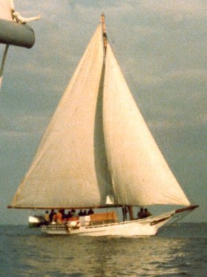 sigsbee.jpg