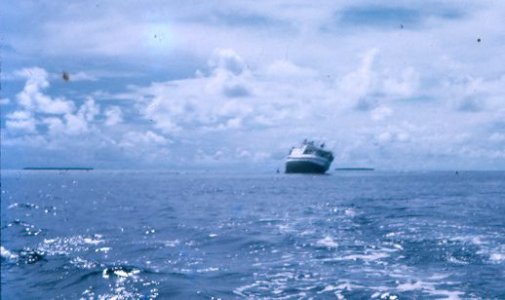 Nivani_stranded_2.jpg Nivani_stranded_2.jpg