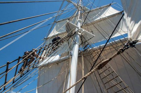 morgan rigging 1.jpeg