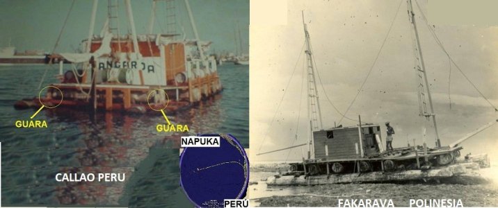 Tangaroa (2).jpeg