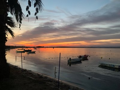 IMG_5242.jpeg