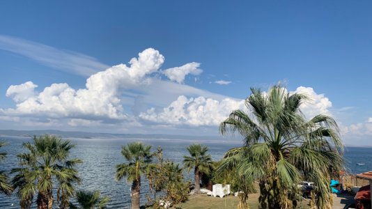 IMG_5313.jpeg