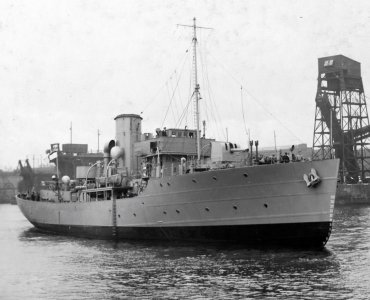 HMS Heliotrope, a Flower Class corvette built by John Crow.jpg