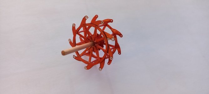 20240730_124921.jpg