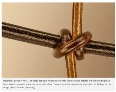 Clove hitch.jpg