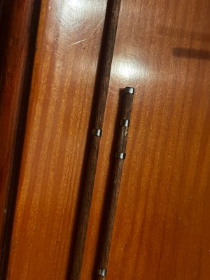 IMG_9896.jpeg