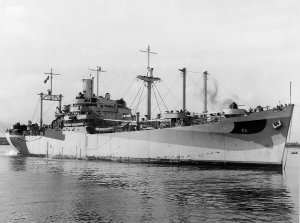 USS_Mount_Hood_(AE-11)_off_the_Norfolk_Naval_Shipyard_on_16_July_1944_(19-N-70330).jpg