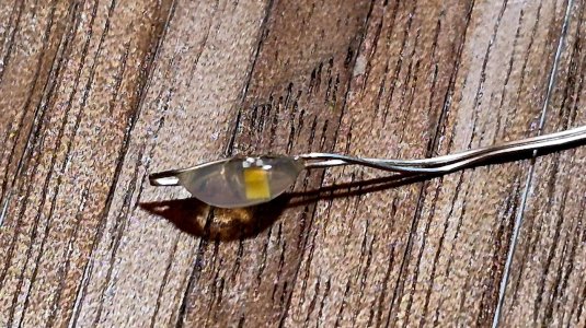 Black_020.jpg Black_020.jpg