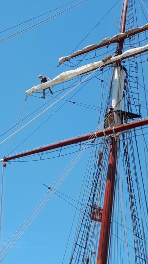 20241123_sydney_darling_harbour_oosterschelde_4.jpg