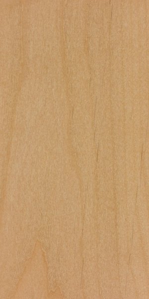 alnus-rubra.jpg