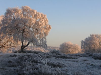 2007 - Winterse december (7).jpeg
