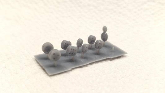 1000005548.jpg 1000005548.jpg