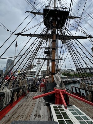 IMG_5660.jpeg IMG_5660.jpeg
