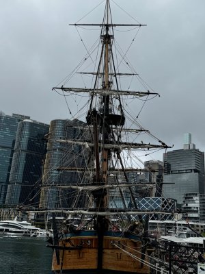IMG_5668.jpeg IMG_5668.jpeg