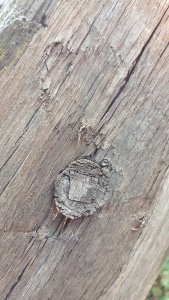 20171203_135721.jpg