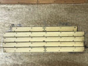 IMG_2308.jpeg