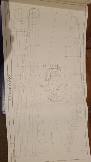 20250216_195251.jpg