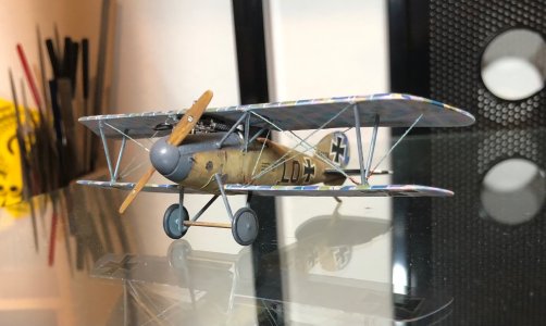 IMG_6829.jpeg