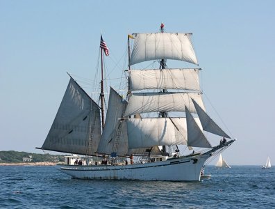 gazela78-79a.jpg