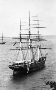 Cutty_Sark_-_waiting_in_Sydney_Harbour_for_the_new_season's_wool.jpg