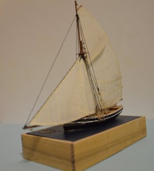 953761.jpg