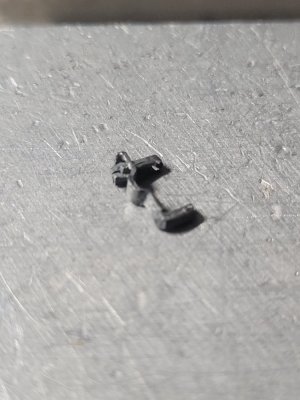 20250321_130127.jpg