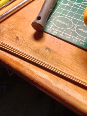 IMG20250322093219.jpg