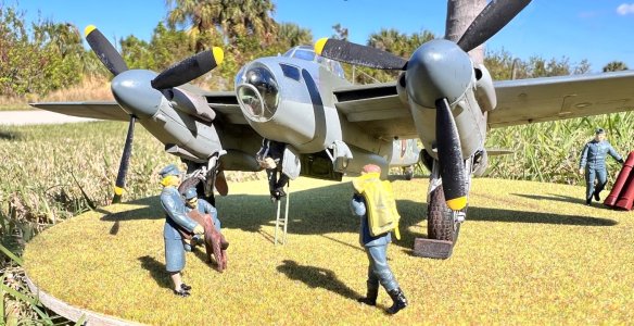 Mossie2.jpg
