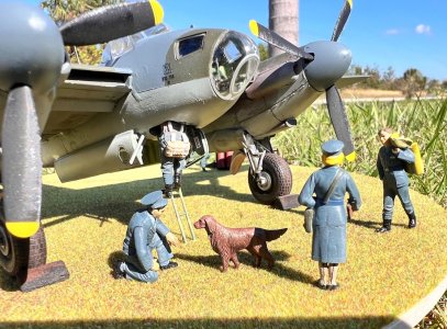 Mossie3.jpg