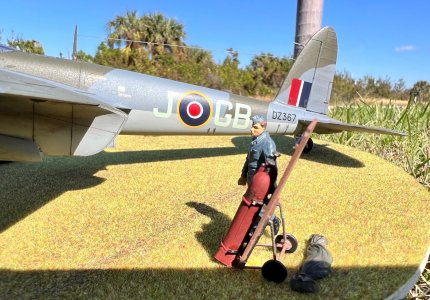 Mossie4.jpg