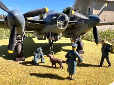 Mossie5.jpg