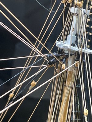 IMG_4737.jpeg