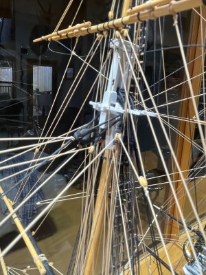 IMG_4757.jpeg