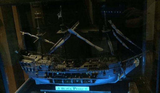 IMG_0248.jpeg