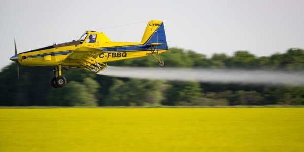20190708_093810.jpg