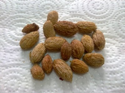 Diapositiva2.JPG Diapositiva2.JPG
