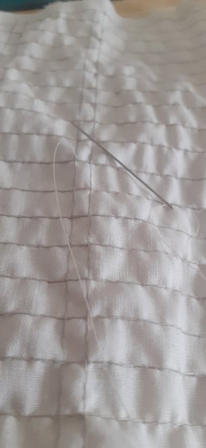 20250426_093923.jpg