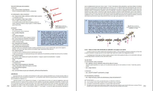 muestra8.jpg muestra8.jpg