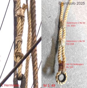 Plattbändsel_L´Hermione_1_48.jpg