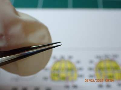 P5030005.JPG