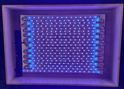 thumbnail (11).jpg