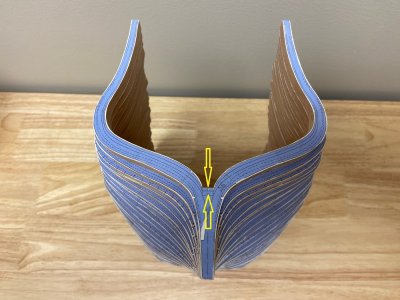 Frames Top View.jpg Frames Top View.jpg