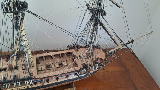 Diana1101.jpg