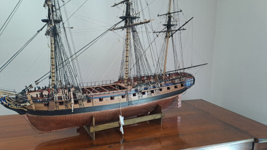 Diana1109.jpg