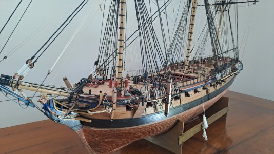 Diana1110.jpg