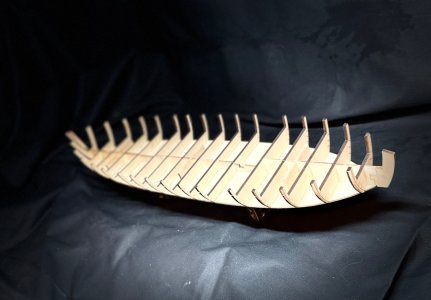 IMG_2355.jpeg IMG_2355.jpeg