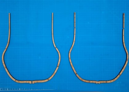 1000006113.jpg 1000006113.jpg