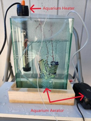 thumbnail (4).jpg