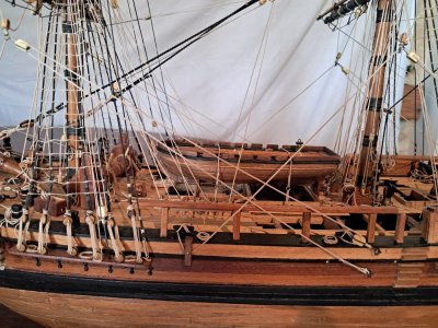 20250524_090000.jpg